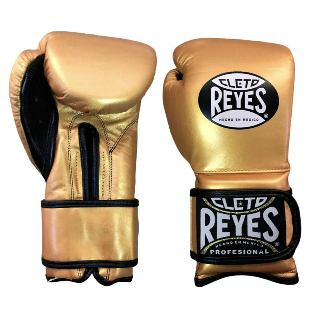 Cleto Reyes Training Gloves